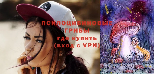 мяу мяу мука Абаза