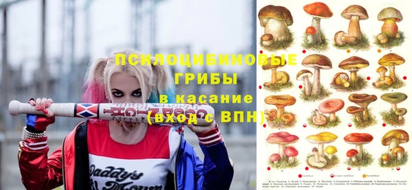 ПСИЛОЦИБИНОВЫЕ ГРИБЫ Алексеевка