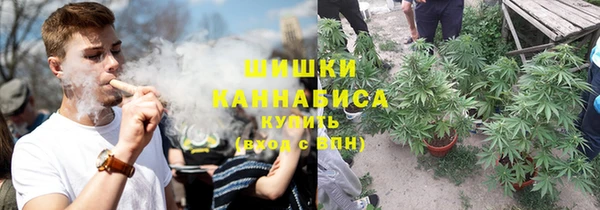 ПСИЛОЦИБИНОВЫЕ ГРИБЫ Алексеевка