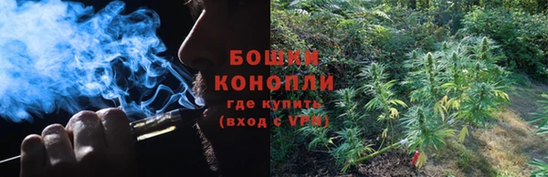 ПСИЛОЦИБИНОВЫЕ ГРИБЫ Алексеевка