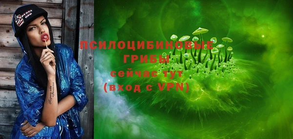 ПСИЛОЦИБИНОВЫЕ ГРИБЫ Алексеевка