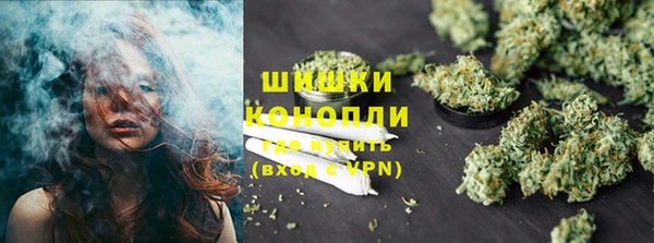 ПСИЛОЦИБИНОВЫЕ ГРИБЫ Алексеевка