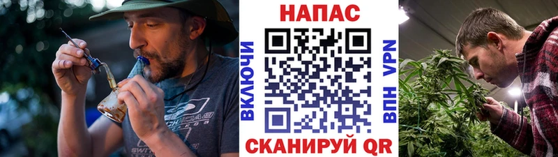 сколько стоит Пошехонье Бошки Шишки семена